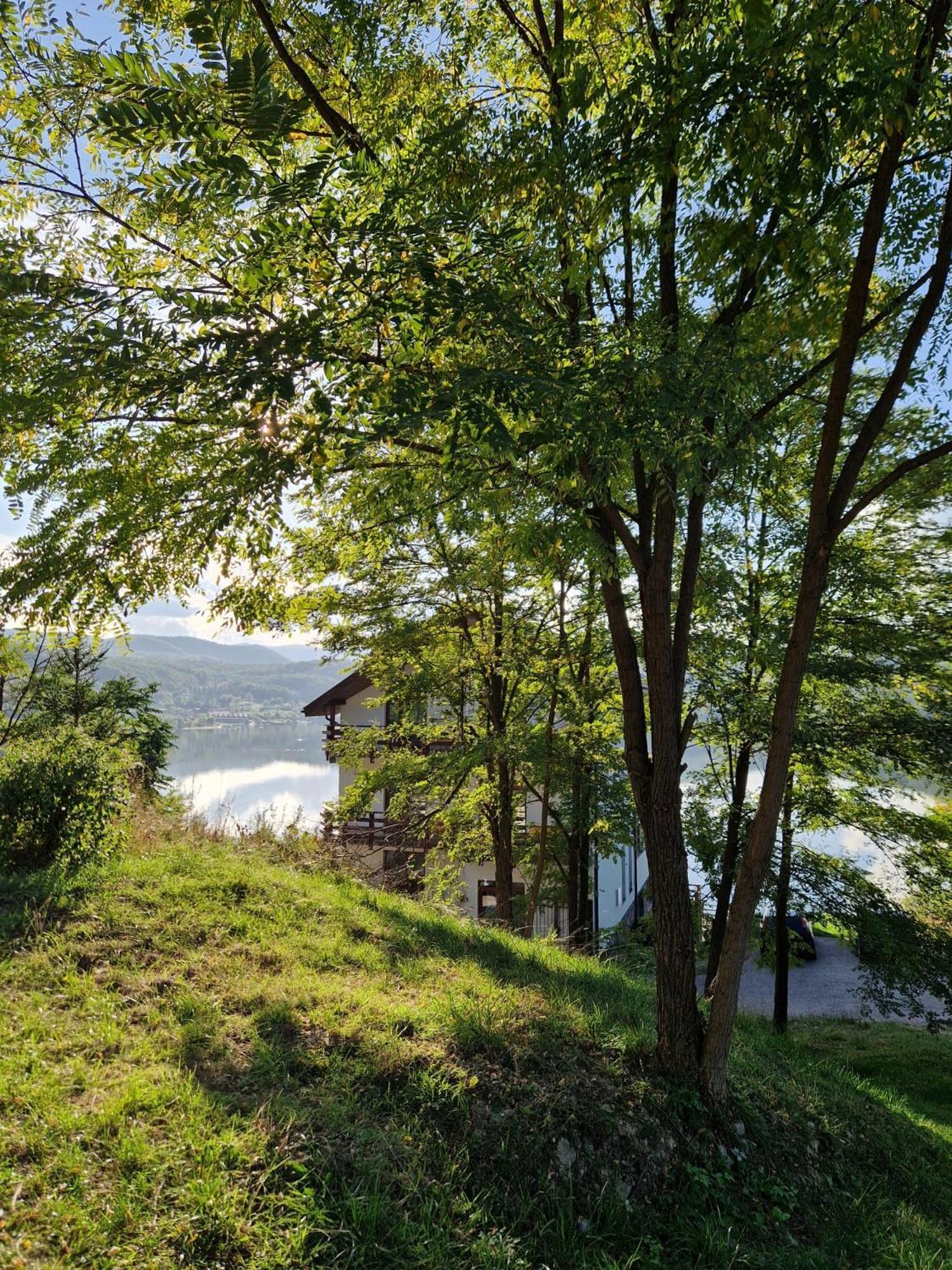 Pensiunea Belvedere Cincis Εξωτερικό φωτογραφία